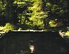Bill Viola. The Refl ecting Pool, 1977-1979. Vidéo  (©Bill Viola)